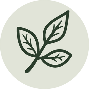 Rooted in Community