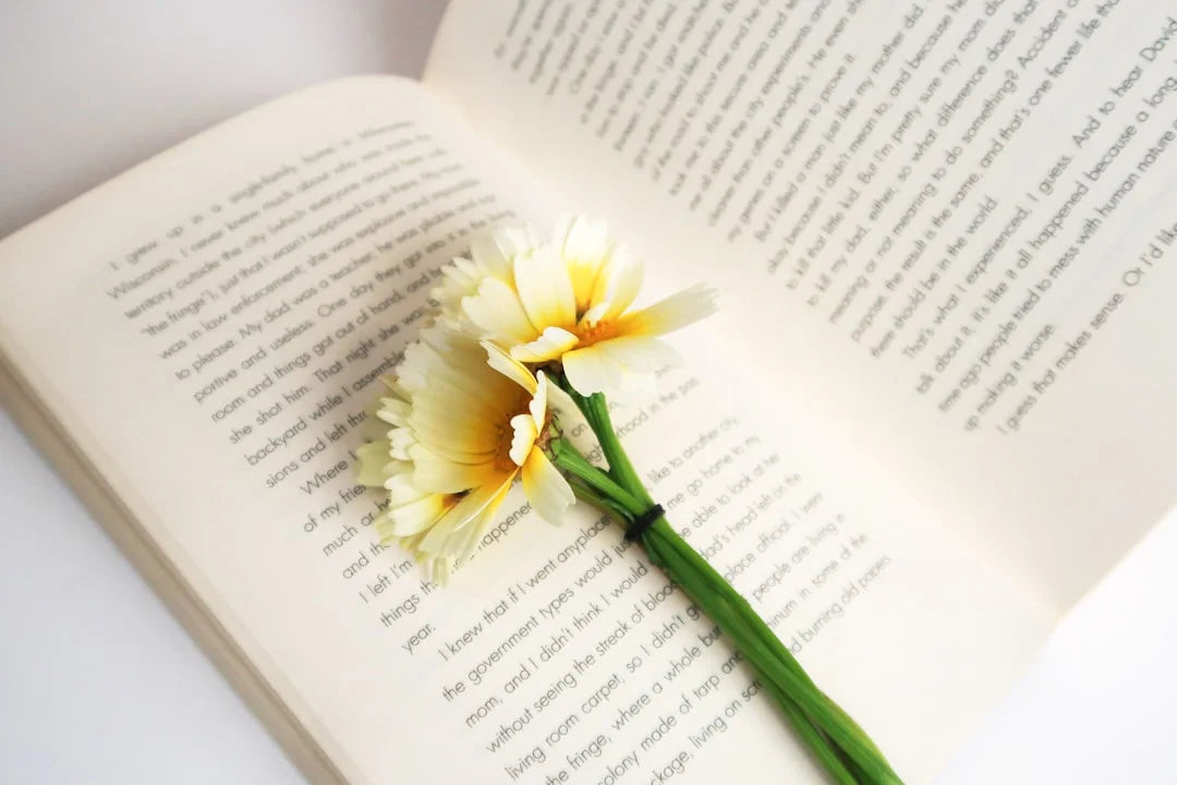 Stories That Spark: Your Spring Reading Awakening