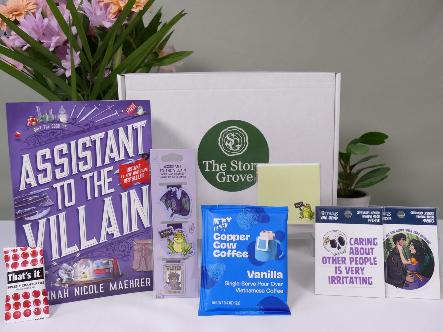 Assistant to the Villain premium story box – landscape flat lay of items