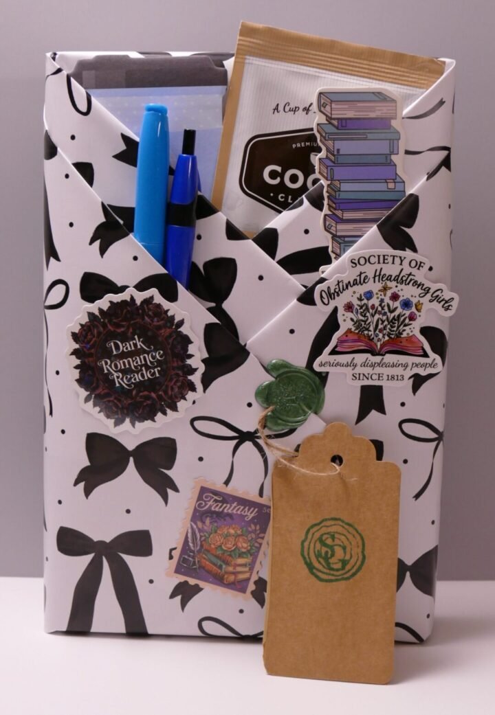 Surprise wrapped book with dark ribbon bows – dark romantasy | The Story Grove