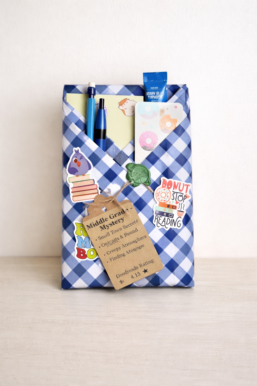 Middle grade wrapped book with blue gingham design – mystery | The Story Grove