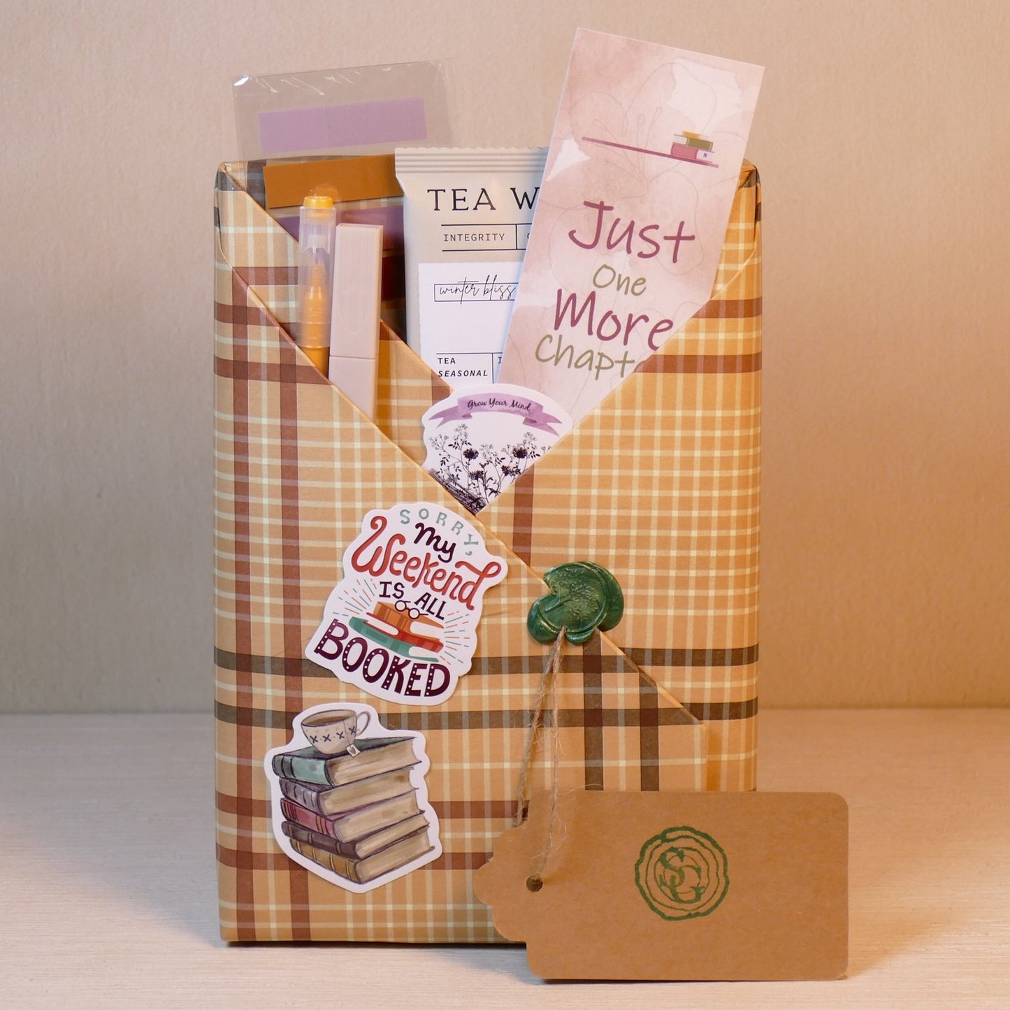 Surprise wrapped book – cozy mystery about books, healing and found family | The Story Grove