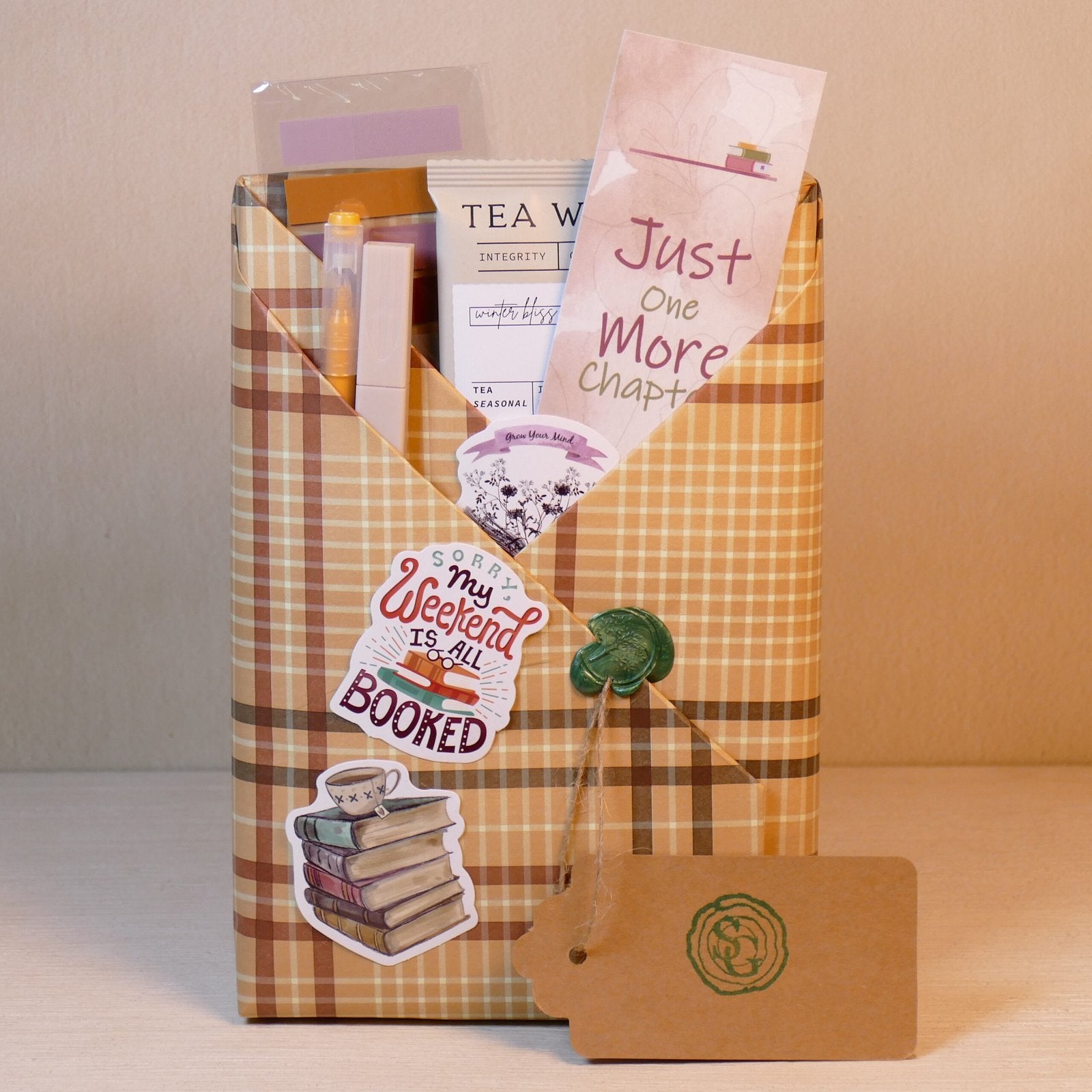 Surprise wrapped book – cozy mystery about books, healing and found family | The Story Grove