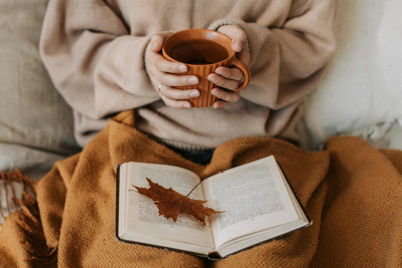 fall cozy reading