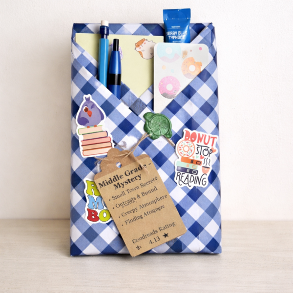 wrapped read: middle grade mystery | small town secrets (paperback)