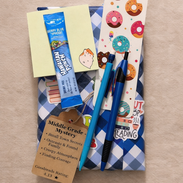 wrapped read: middle grade mystery | small town secrets (paperback)